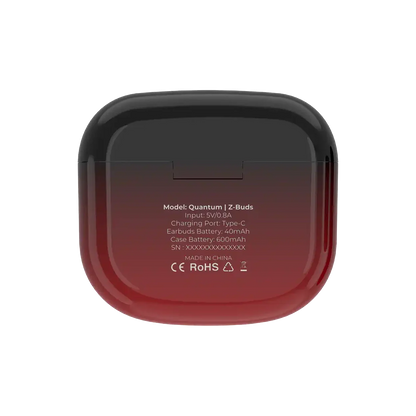 Quantum Earbuds