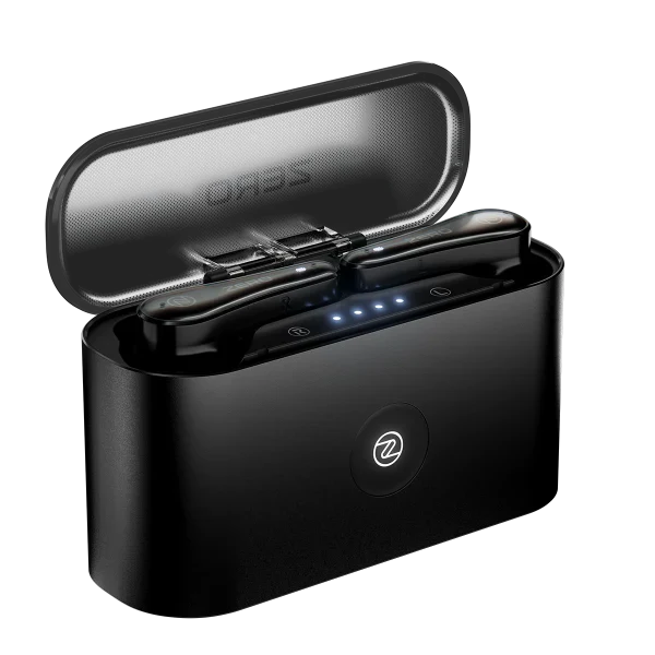 Robo Earbuds