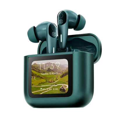 Display Earbuds